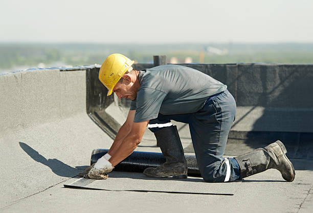 Best Specialty Insulation in Hampshire, IL