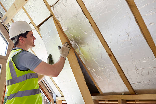 Best Insulation Maintenance and Repair in Hampshire, IL